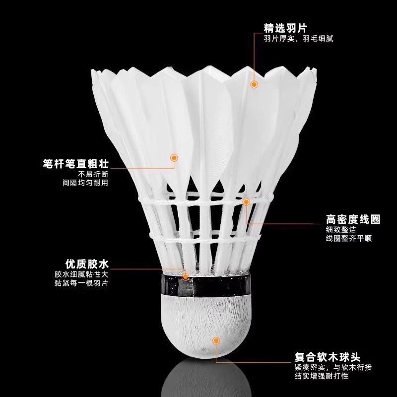ลูกแบดมินตันขนห่าน Lion 12 แพ็ - Badminton Bwf บทวิจารณ์และราคา